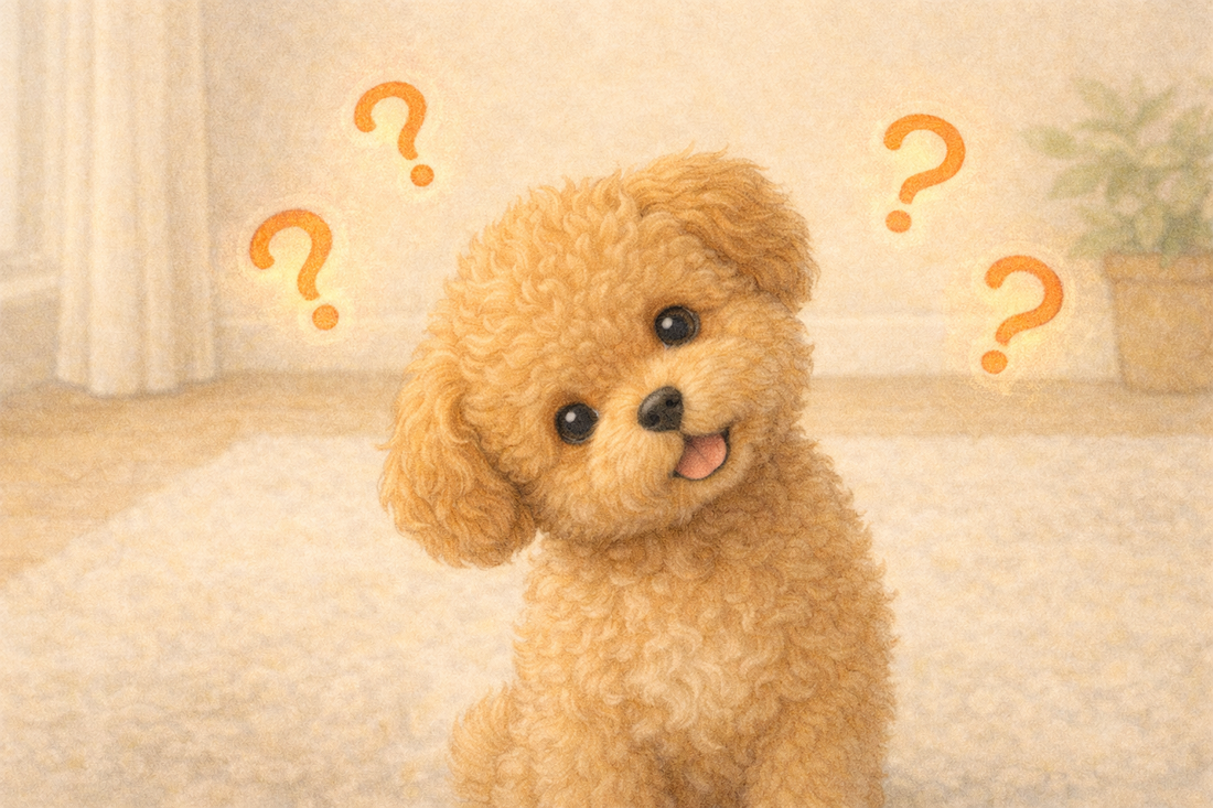 What Supplements Do Puppies Need? A Simple Guide for New Puppy Parents